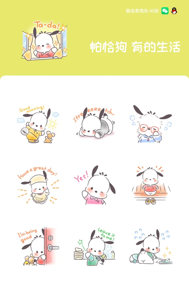 帕恰狗 有的生活