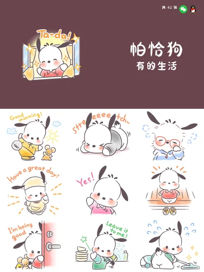 帕恰狗 有的生活